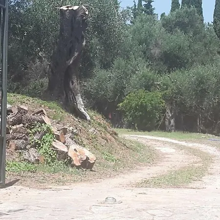 Apartmán Prima